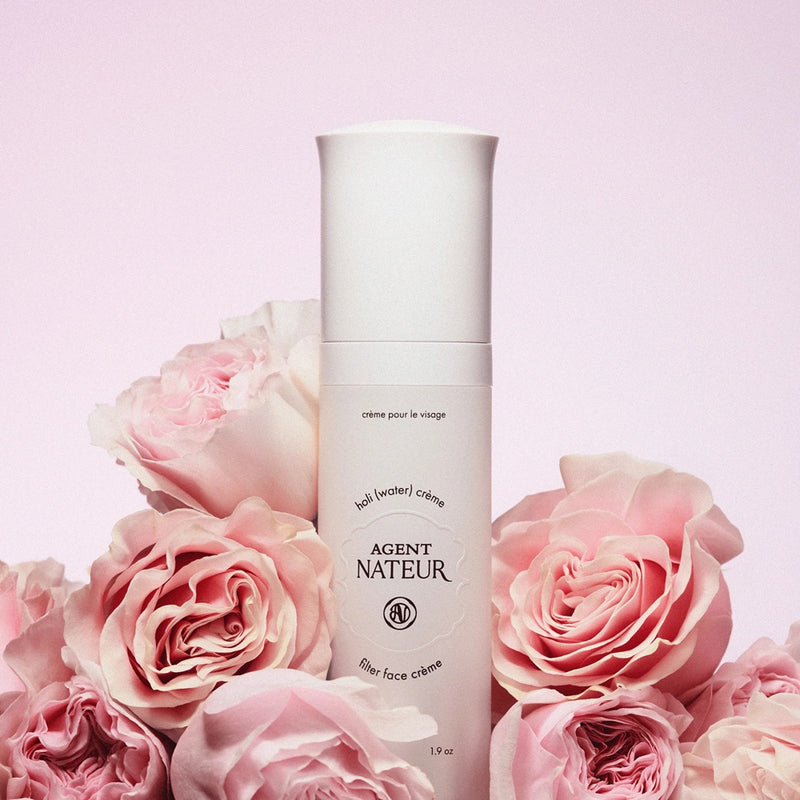 Buy Agent Nateur holi (water) filter face creme 57ml at One Fine Secret Clean Beauty.