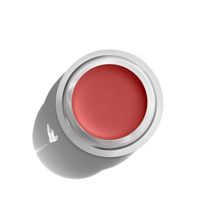 Buy Aleph Beauty Cheek & Lip Tint in Pixie colour at One Fine Secret Clean Beauty.