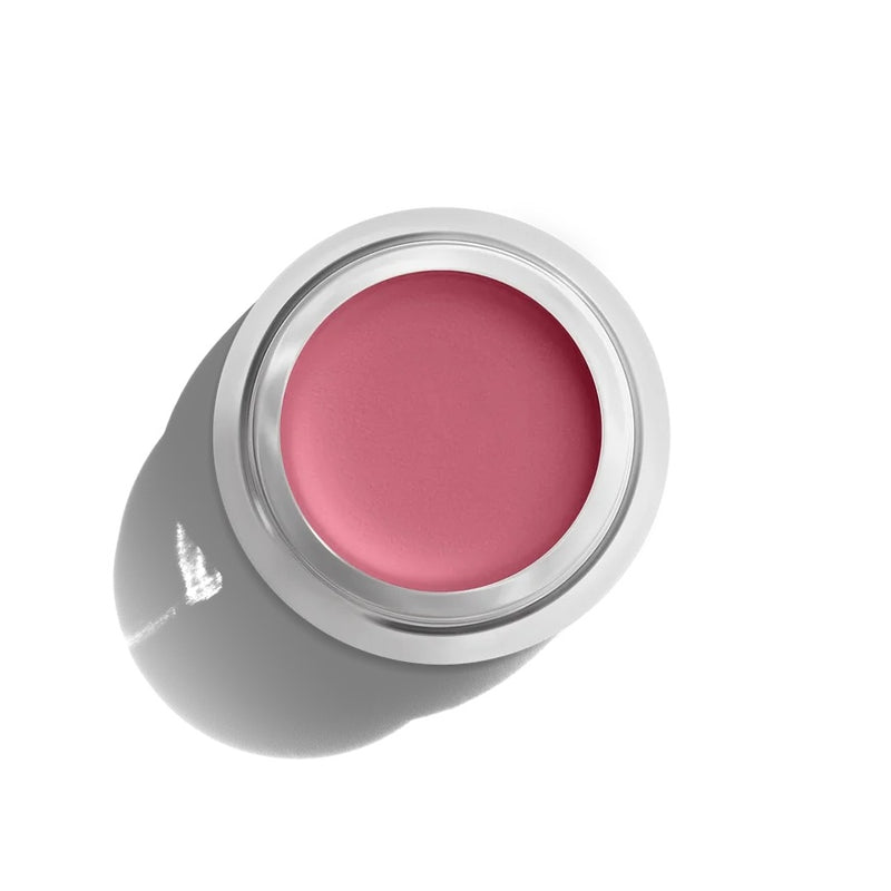 Buy Aleph Beauty Cheek & Lip Tint in Reve colour at One Fine Secret Clean Beauty.