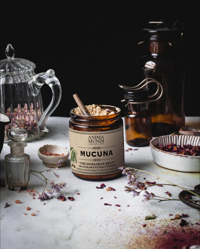 Anima Mundi Apothecary Herbal Supplement. Buy Anima Mundi Mucuna "The Dopamine Bean" Powder at One Fine Secret. Official Australian Stockist. Clean Beauty Melbourne.