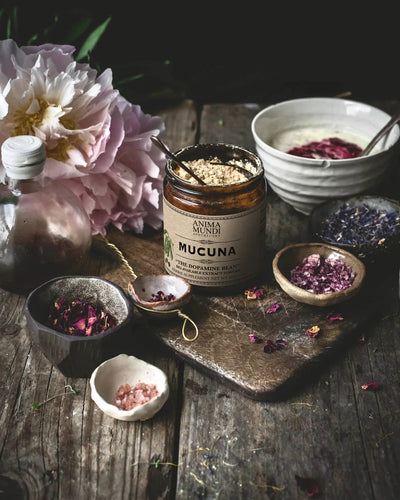 Anima Mundi Apothecary Herbal Supplement. Buy Anima Mundi Mucuna "The Dopamine Bean" Powder at One Fine Secret. Official Australian Stockist. Clean Beauty Melbourne.
