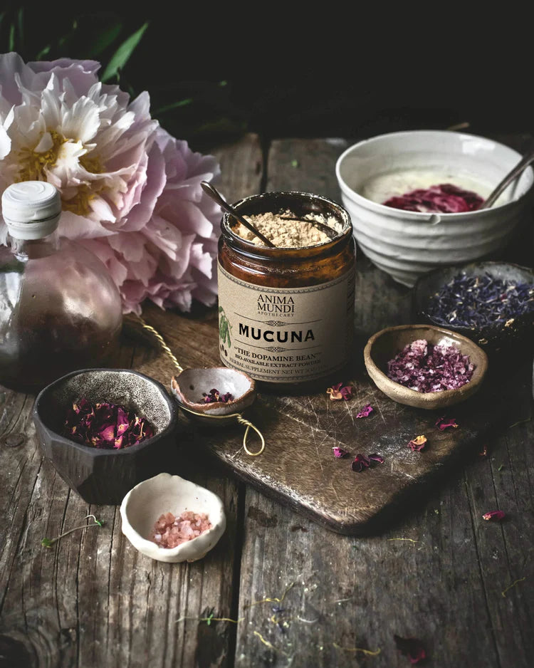 Anima Mundi Apothecary Herbal Supplement. Buy Anima Mundi Mucuna "The Dopamine Bean" Powder at One Fine Secret. Official Australian Stockist. Clean Beauty Melbourne.