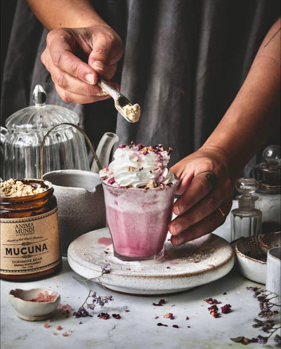 Anima Mundi Apothecary Herbal Supplement. Buy Anima Mundi Mucuna "The Dopamine Bean" Powder at One Fine Secret. Official Australian Stockist. Clean Beauty Melbourne.