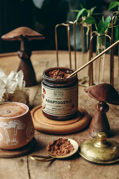 Buy Anima Mundi	Adaptogenic Resilience 7 Medicinal Mushrooms + Cacao Powder 113g at One Fine Secret. Official Australian Stockist. Melbourne's Most Loved Clean Beauty Store.