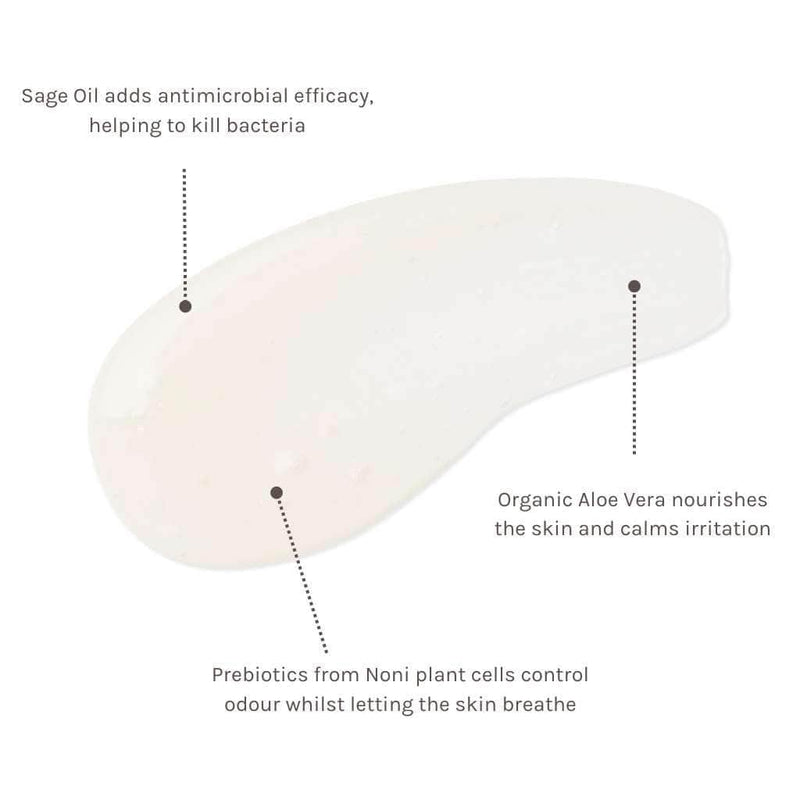 Buy Evolve Organic Beauty Pure Prebiotic Roll On Deodorant 50ml at One Fine Secret Clean Beauty.