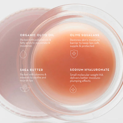 Buy Furtuna Skin Olive Lip Butter Balm 8ml at One Fine Secret Clean Beauty Australia.