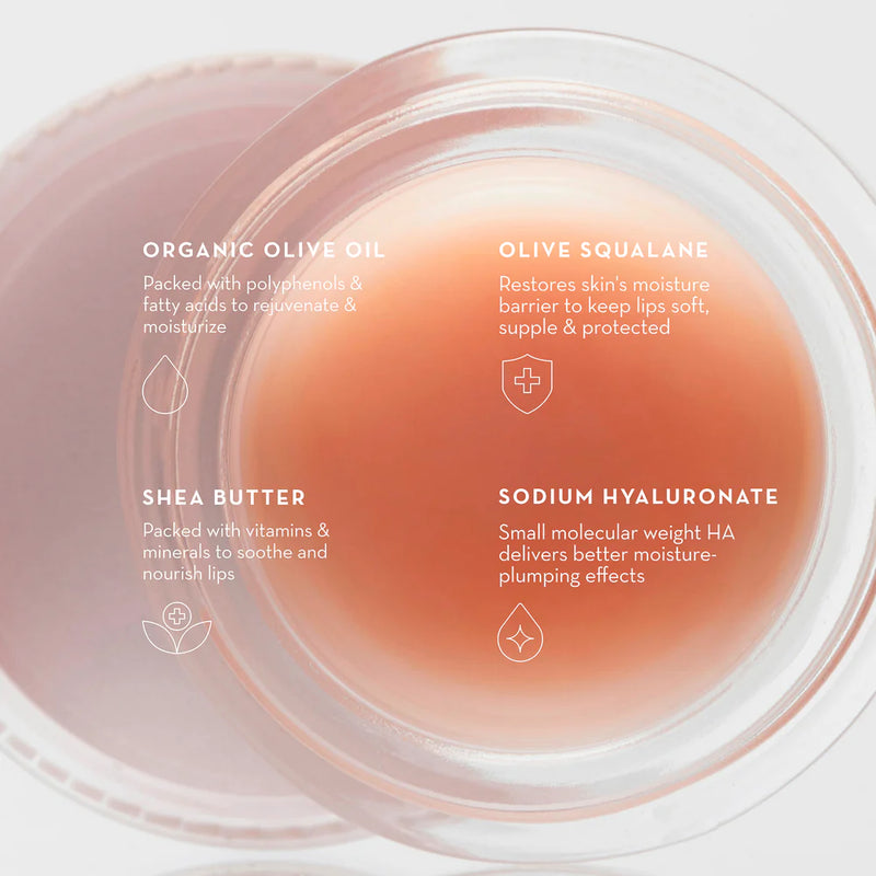 Buy Furtuna Skin Olive Lip Butter Balm 8ml at One Fine Secret Clean Beauty Australia.