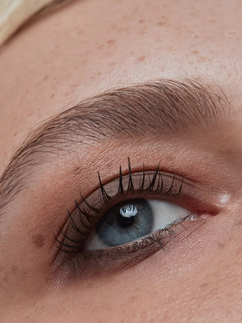 Buy Und Gretel IMBE Eye Shadow 3.5g in Bark colour at One Fine Secret.