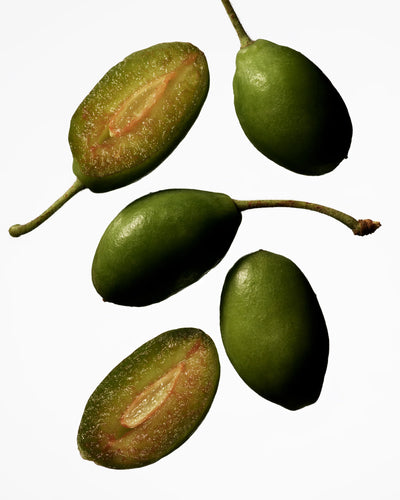 Hero Ingredient of Manasi 7 Tinted Beauty Potions.